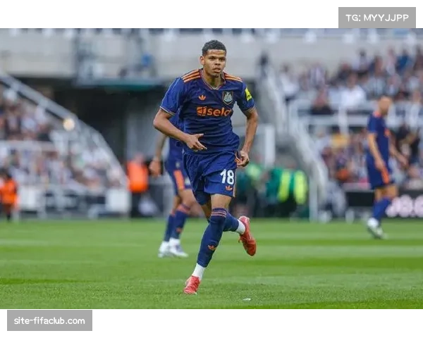 法兰克福前锋埃布努塔利布受伤 自一月中旬处于伤停状态